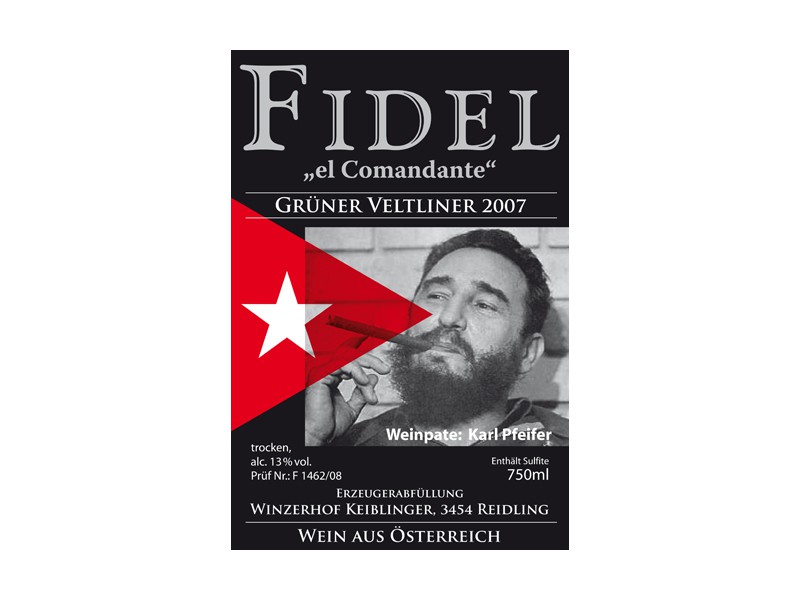 FIDEL_2007