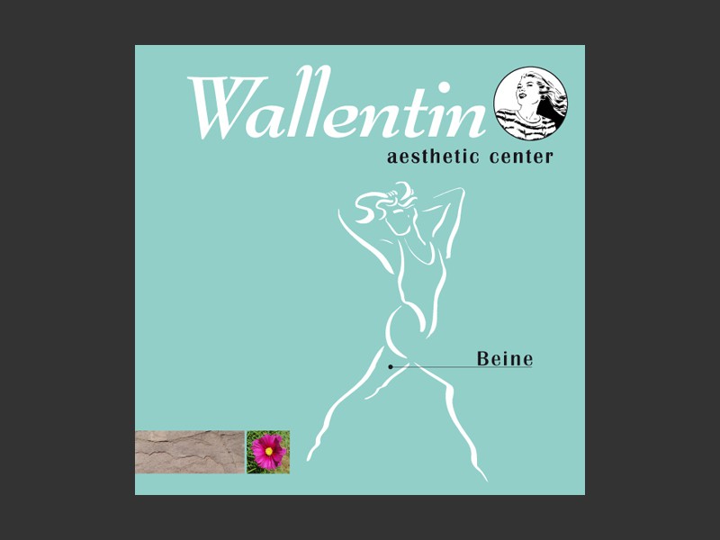 FOLDER_Wallentin_1