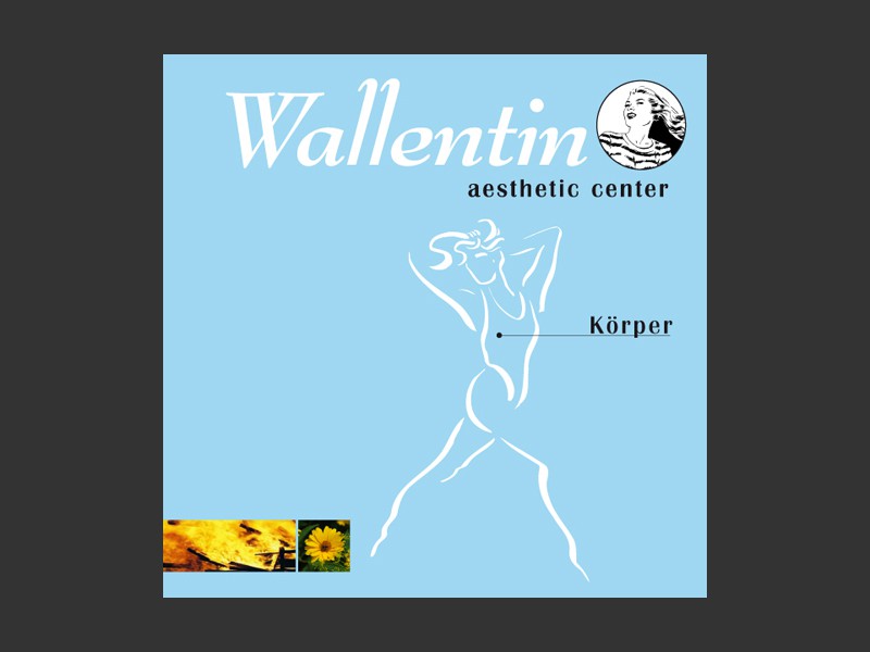 FOLDER_Wallentin_3