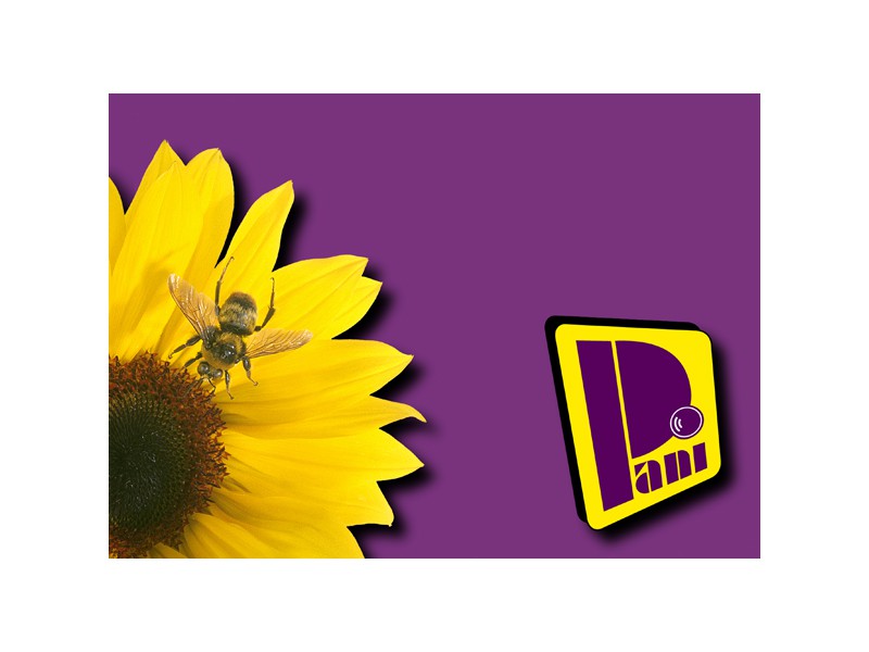 PANI_Blume+Logo_800